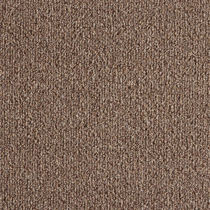 Easy Living Felt Biscuit 918 Carpet