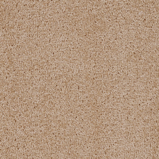 Dalton Fb 2025 Ginger 31 Carpet
