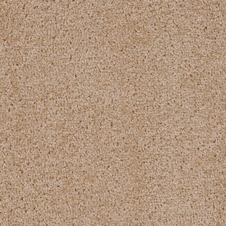 Dalton Fb 2025 Ginger 31 Carpet