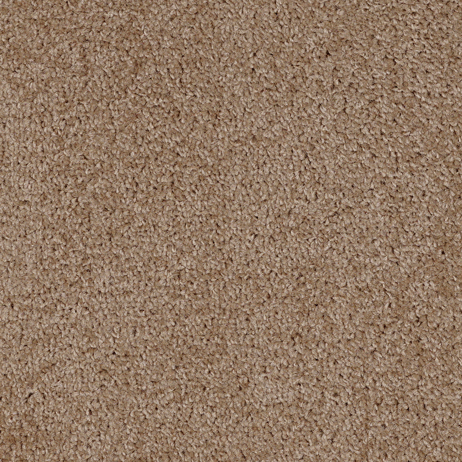 Dalton Fb 2025 Golden Leaf 35 Carpet