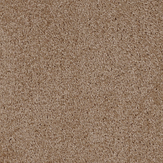Dalton Fb 2025 Golden Leaf 35 Carpet