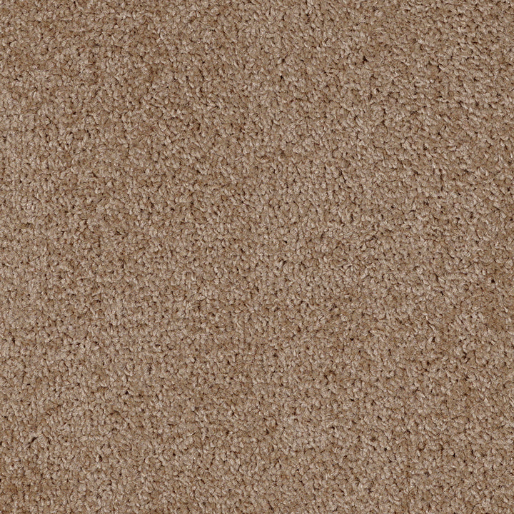 Dalton Fb 2025 Golden Leaf 35 Carpet