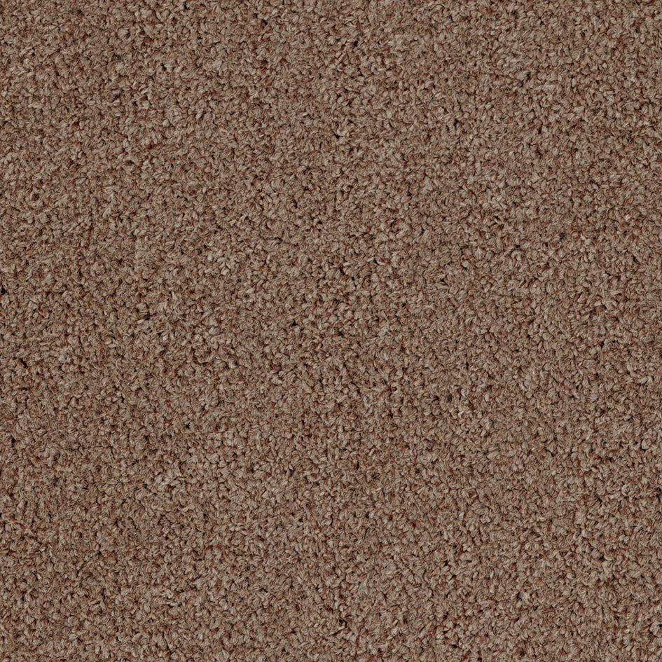 Dalton Fb 2025 Magnum 45 Carpet