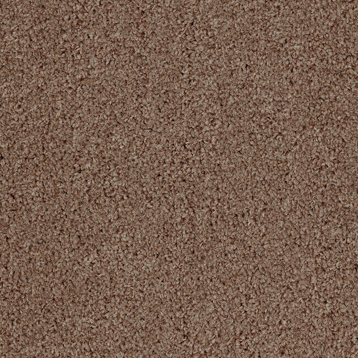 Dalton Fb 2025 Magnum 45 Carpet