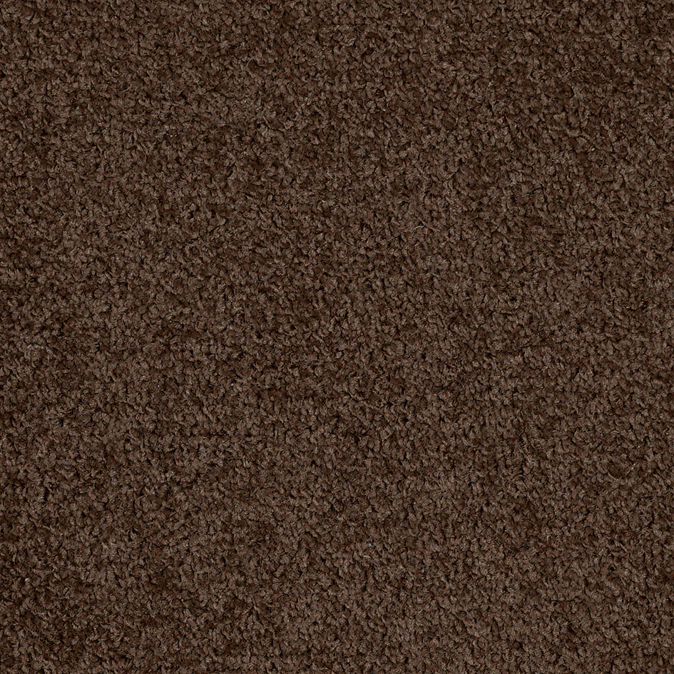 Dalton Fb 2025 Holy Monkey 49 Carpet