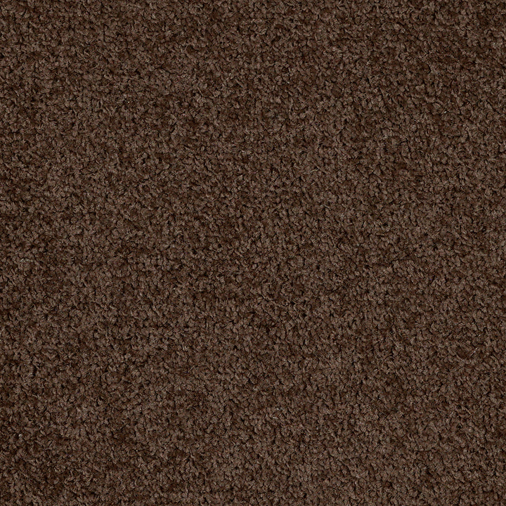 Dalton Fb 2025 Holy Monkey 49 Carpet