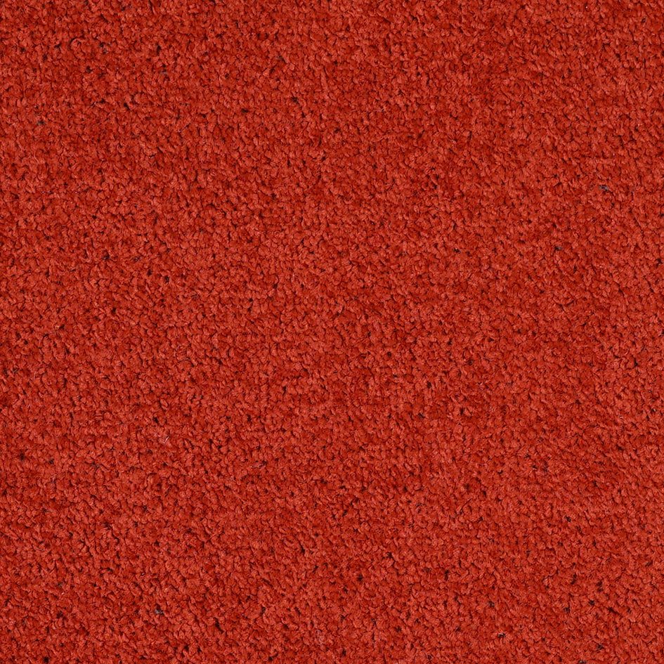 Dalton Fb 2025 Terracotta Warrior 83 Carpet