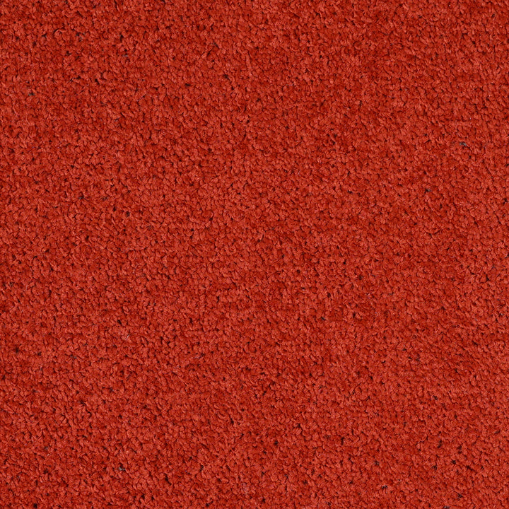 Dalton Fb 2025 Terracotta Warrior 83 Carpet