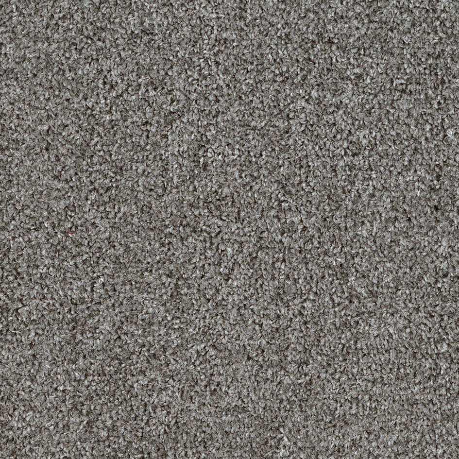 Dalton Fb 2025 Smokey Eyes 93 Carpet