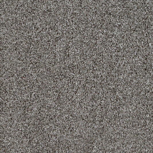 Dalton Fb 2025 Smokey Eyes 93 Carpet