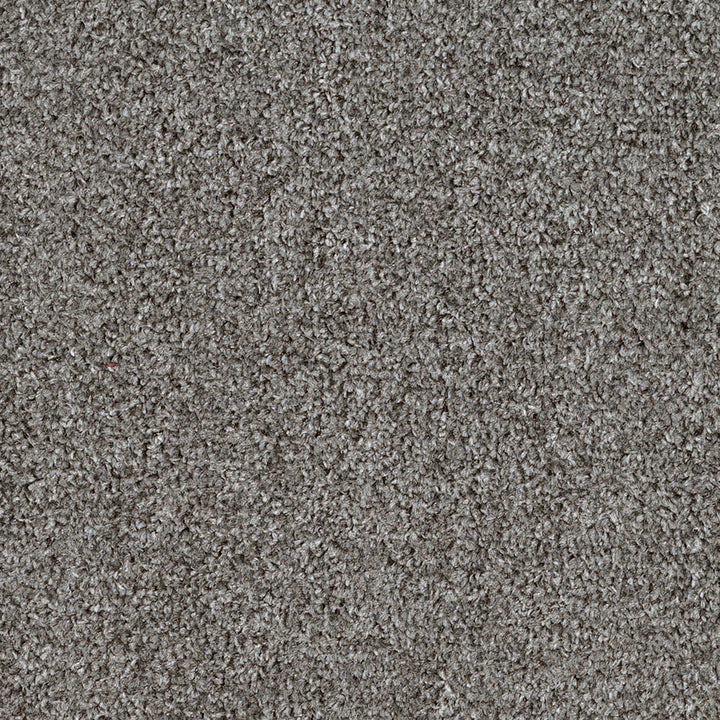 Dalton Fb 2025 Smokey Eyes 93 Carpet
