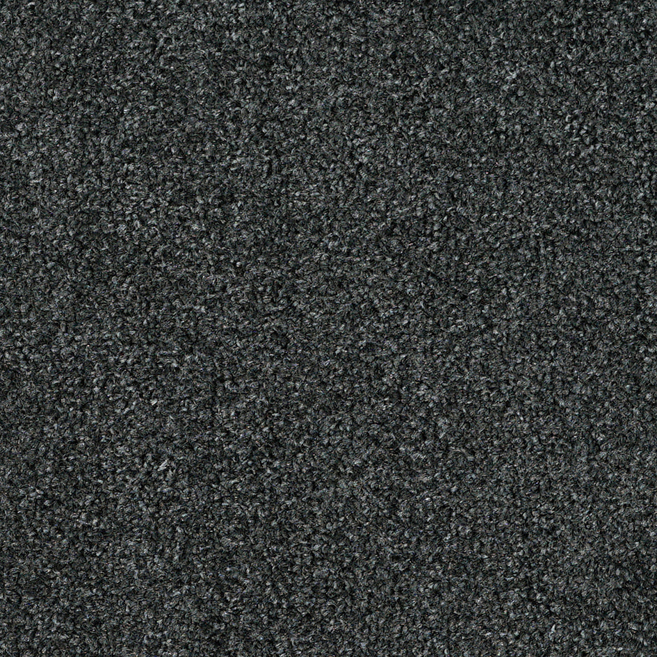 Dalton Fb 2025 Crazy Emerald 96 Carpet