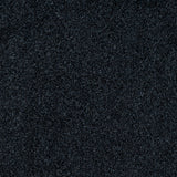 Black Carpet