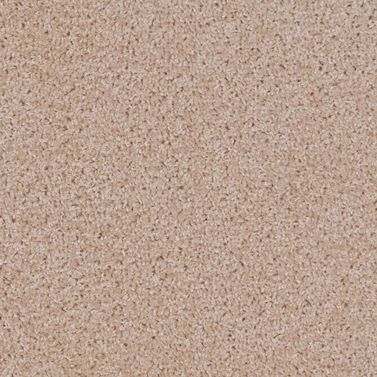 Dalton Fb 2025 Cappuccino 33 Carpet
