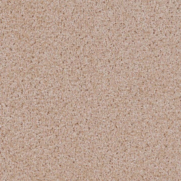 Dalton Fb 2025 Cappuccino 33 Carpet
