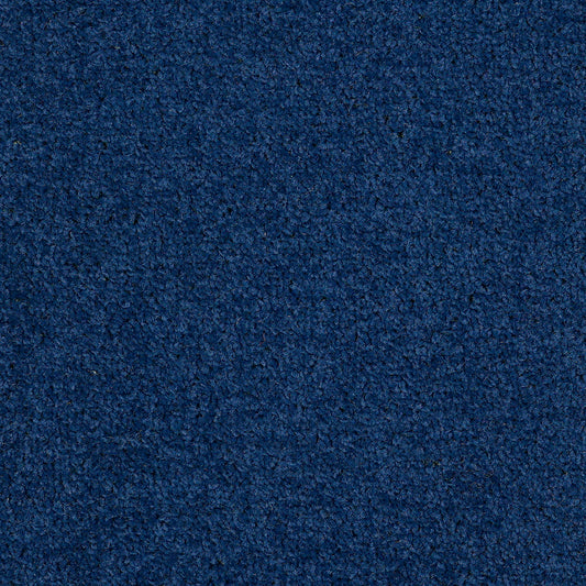 Dalton Fb 2025 Midnight Blue 77 Carpet