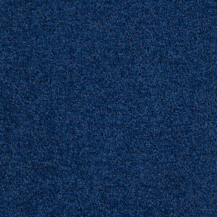 Dalton Fb 2025 Midnight Blue 77 Carpet