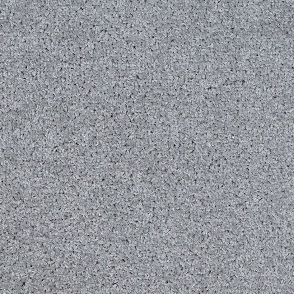 Dalton Fb 2025 Pigeon 90 Carpet