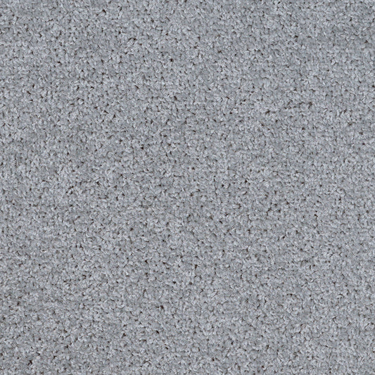 Dalton Fb 2025 Pigeon 90 Carpet