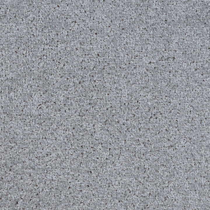 Dalton Fb 2025 Pigeon 90 Carpet