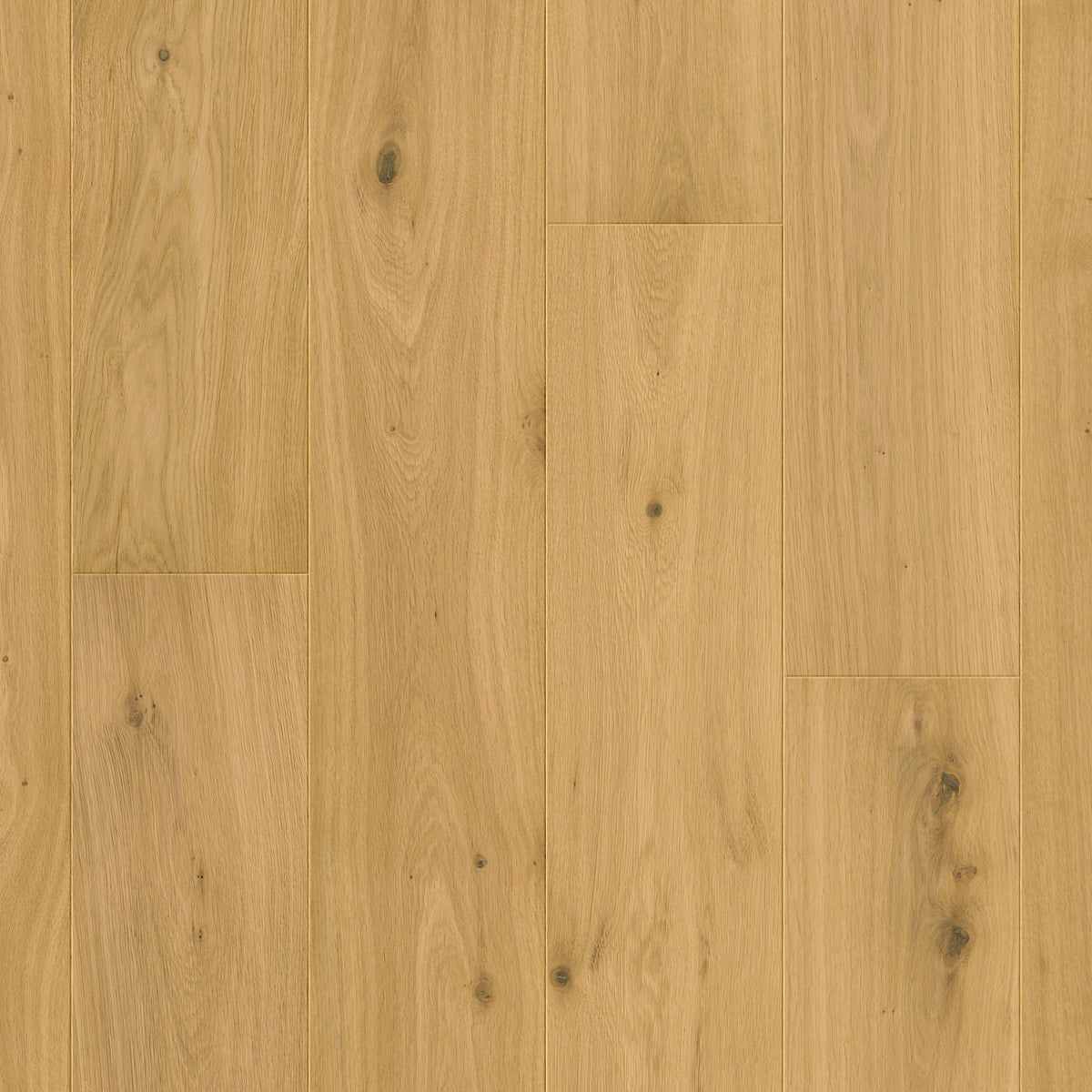 Quick-Step Cala Pure Oak Extra Matt CAL5611 13mm Engineered Wood Flooring