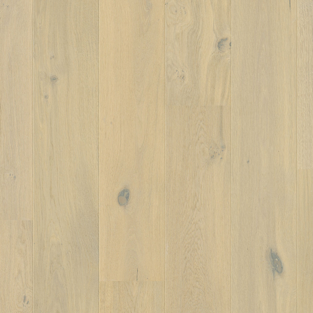 Quick-Step Cascada Wintry Forest Oak Extra Matt CASC3854 13mm Engineered Wood Flooring