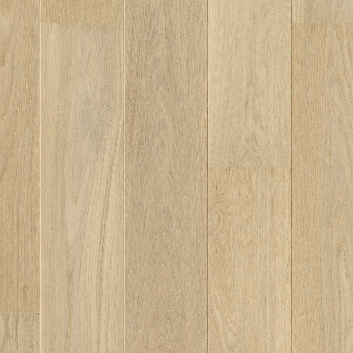 Quick-Step Cascada Lily White Oak Extra Matt CASC5106 13mm Engineered Wood Flooring