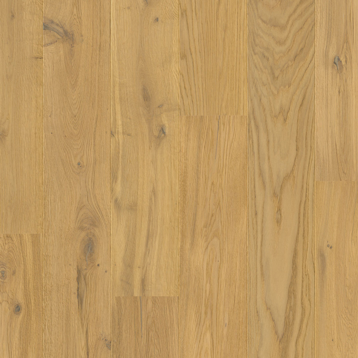 Quick-Step Cascada Desert Oak Extra Matt CASC5111 13mm Engineered Wood Flooring