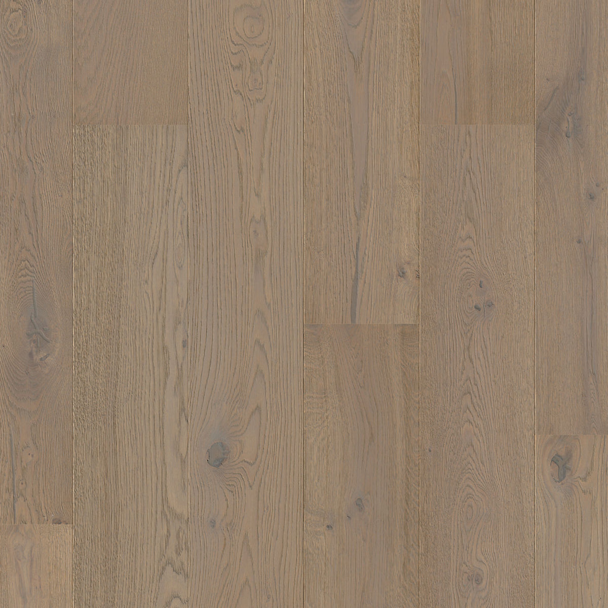 Quick-Step Cascada Cotton Grey Oak Extra Matt CASC5112 13mm Engineered Wood Flooring