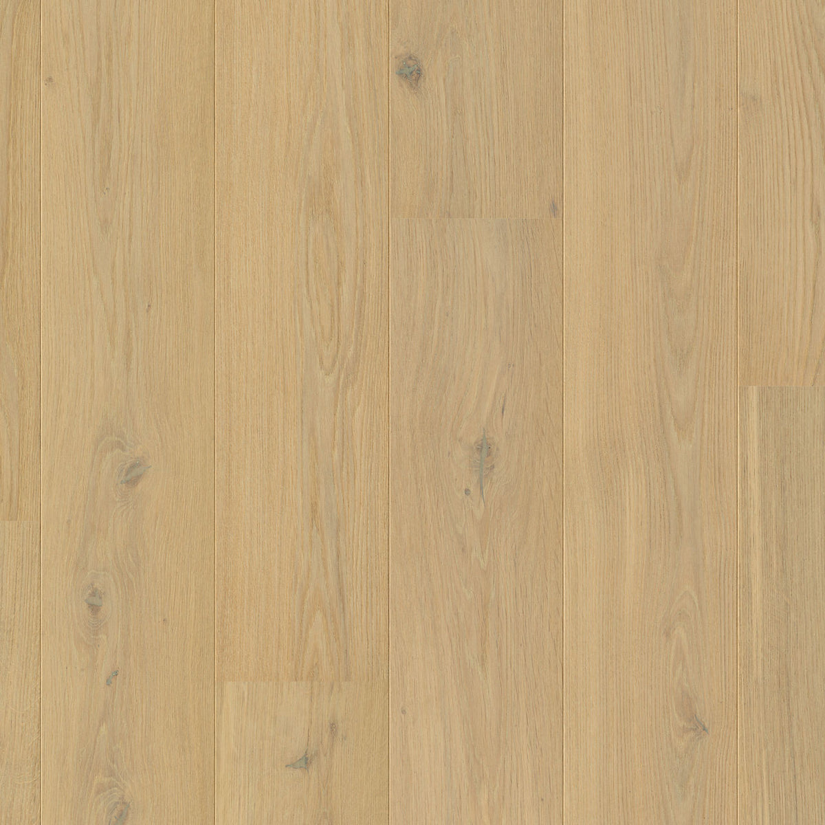 Quick-Step Cascada Pearl White Oak Extra Matt CASC6030 13mm Engineered Wood Flooring