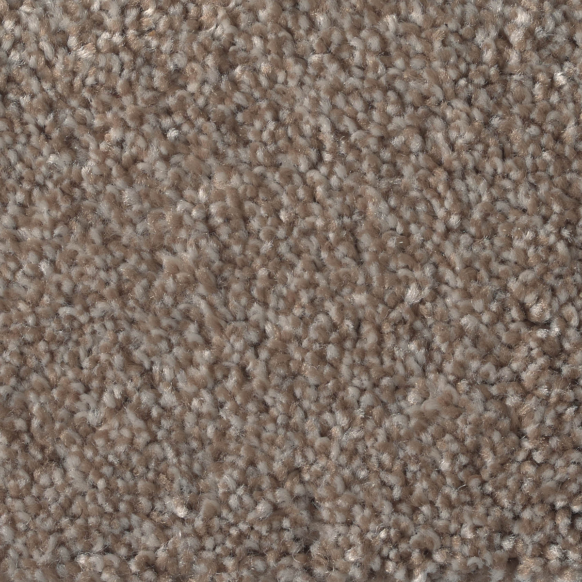 Feelings AB Pine 763 Carpet