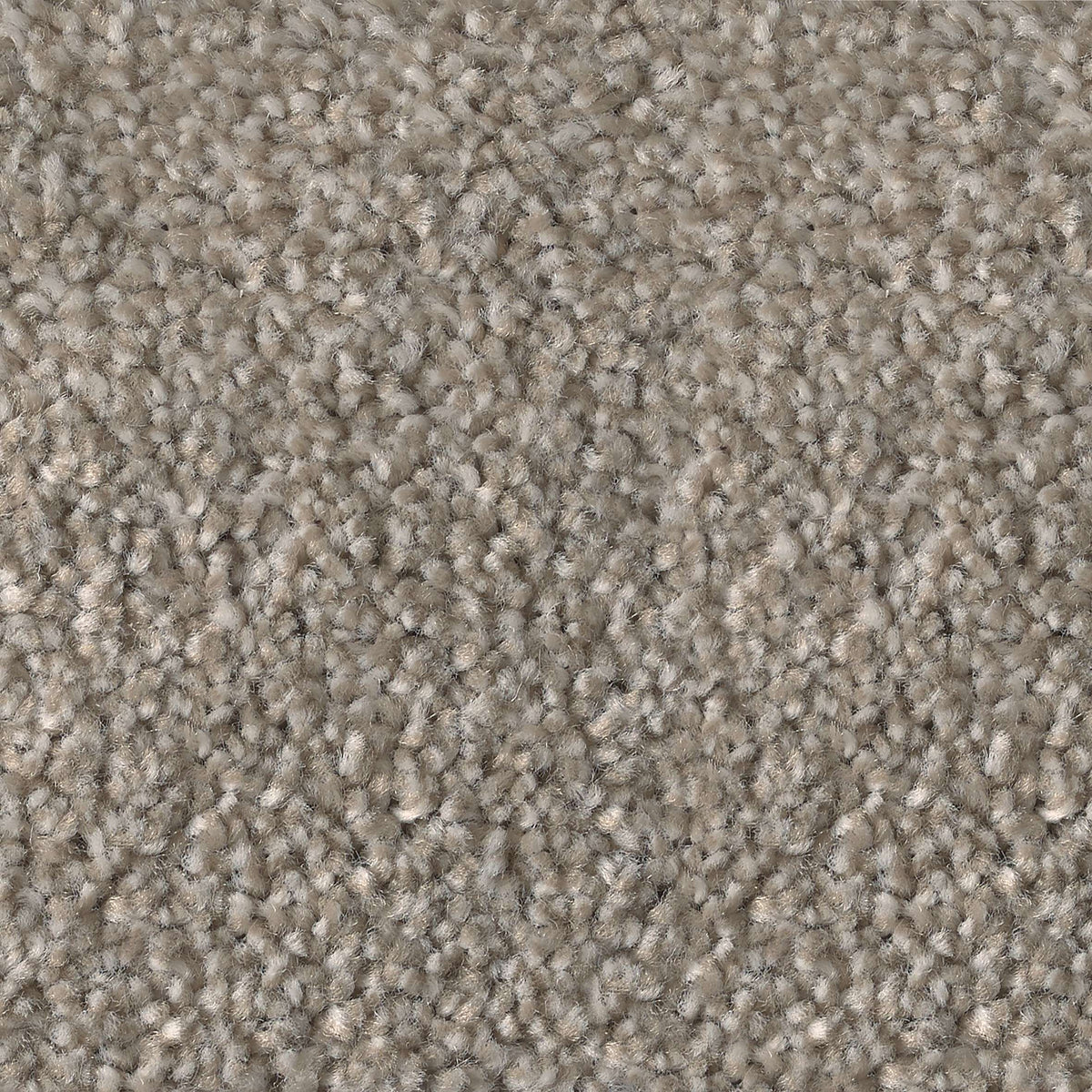 Feelings AB Cotton 762 Carpet