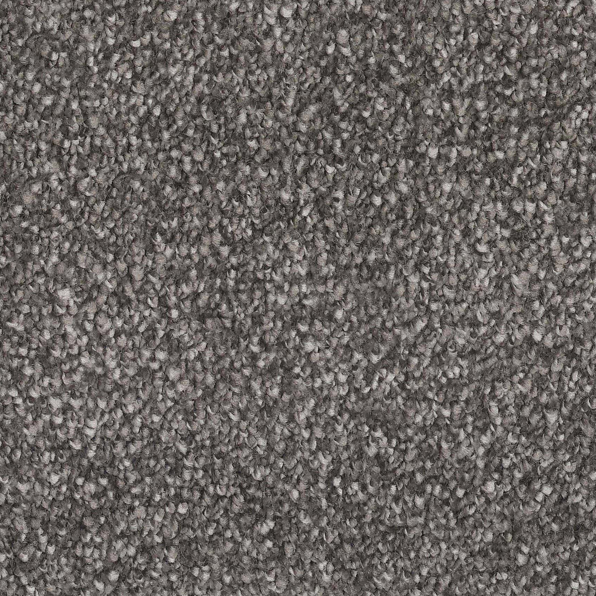 Captivating Hazy Carpet