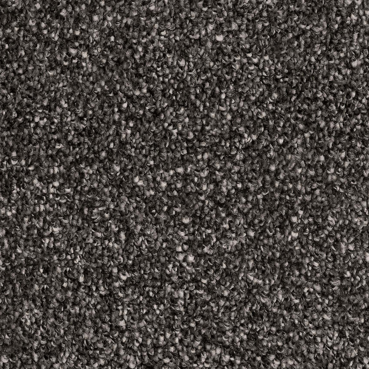 Captivating Nightfall Carpet