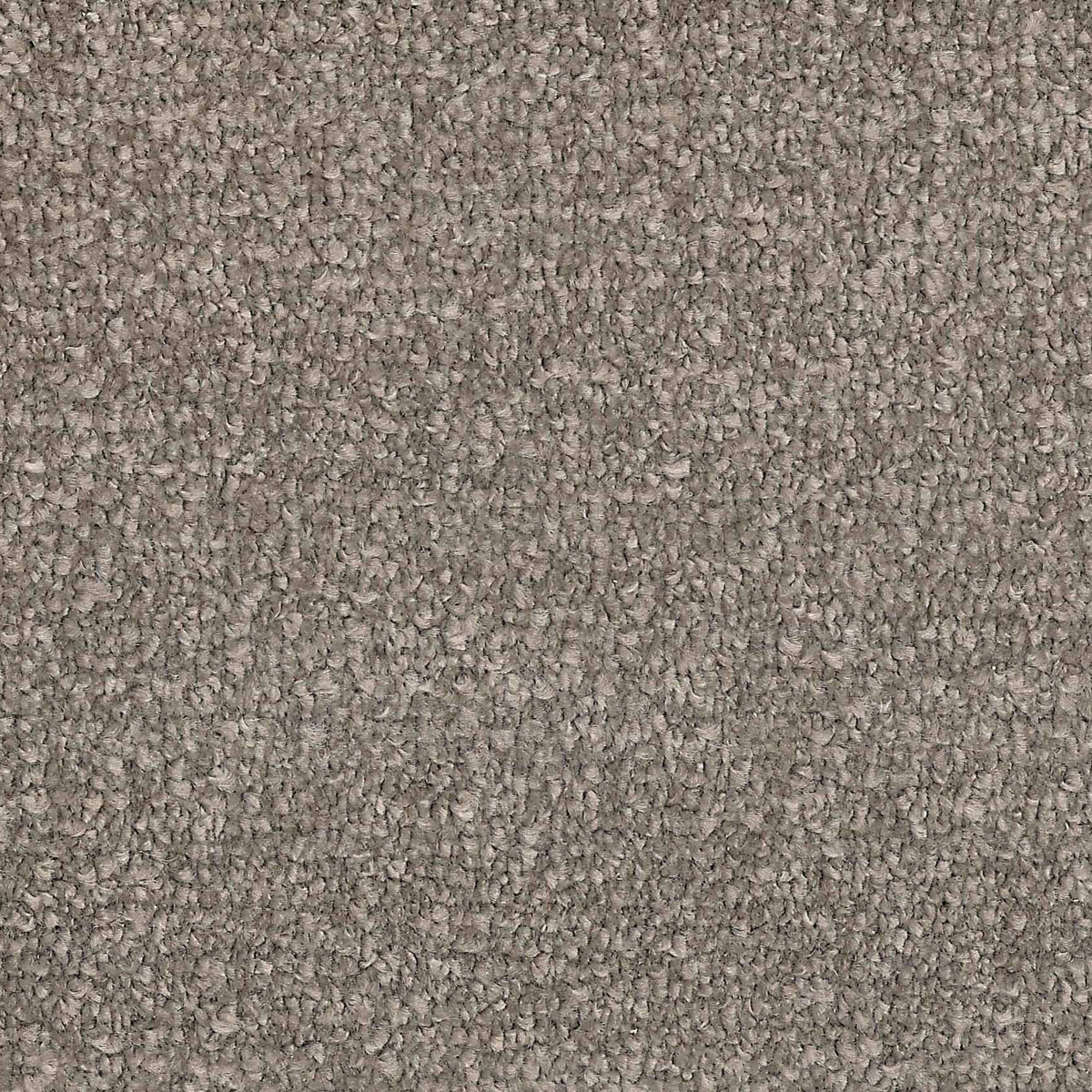 Captivating Lustre Carpet