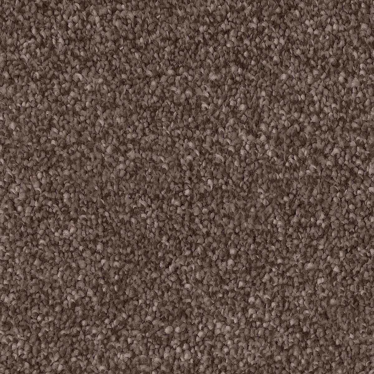 Captivating Radiance Carpet