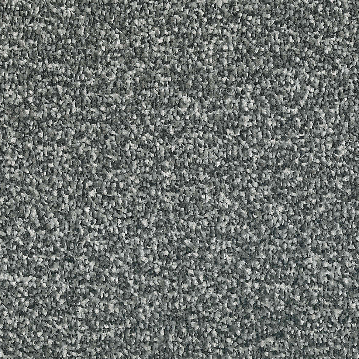 Manhattan Pigeon 978 Carpet