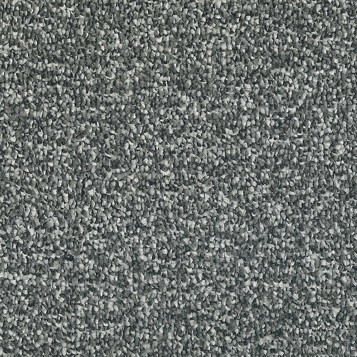 Manhattan Pigeon 978 Carpet