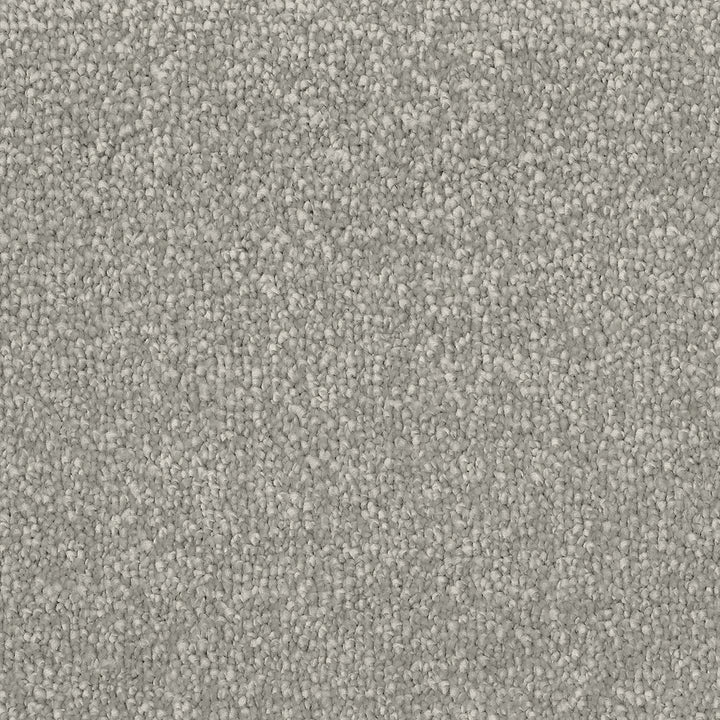 Cosmopolitan Suede 503 Carpet