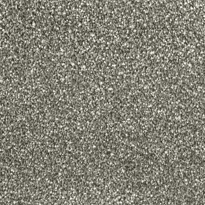 Cosmopolitan Taupe 504 Carpet
