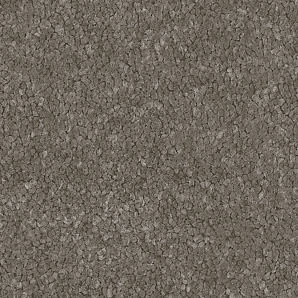 Exquisite Twist Fleece Carpet