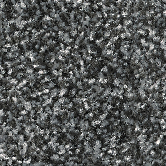 Cairns AB 759 Carpet