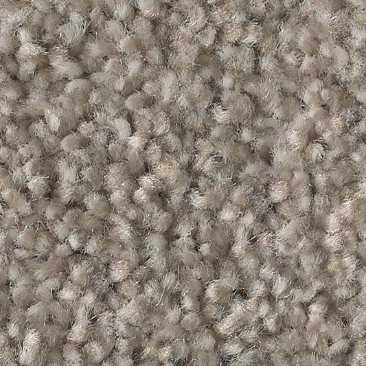 Cairns AB 762 Carpet