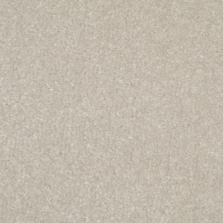 Endless Affection Ivory 7005 Carpet