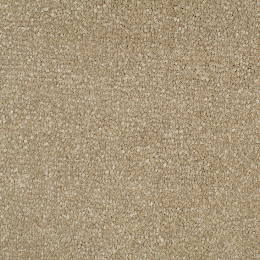 Endless Affection Champagne 7008 Carpet