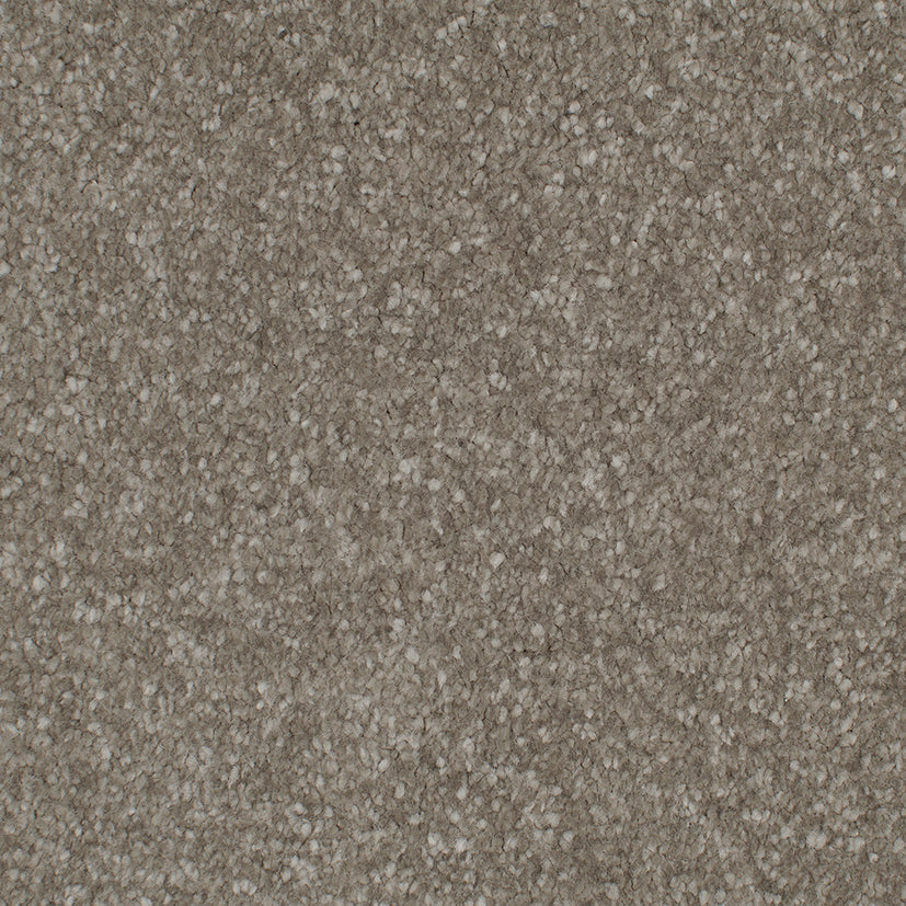 Endless Affection Truffle 7009 Carpet