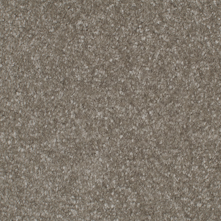 Endless Affection Truffle 7009 Carpet