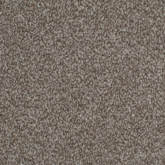Tender Embrace Barley 4013 Carpet