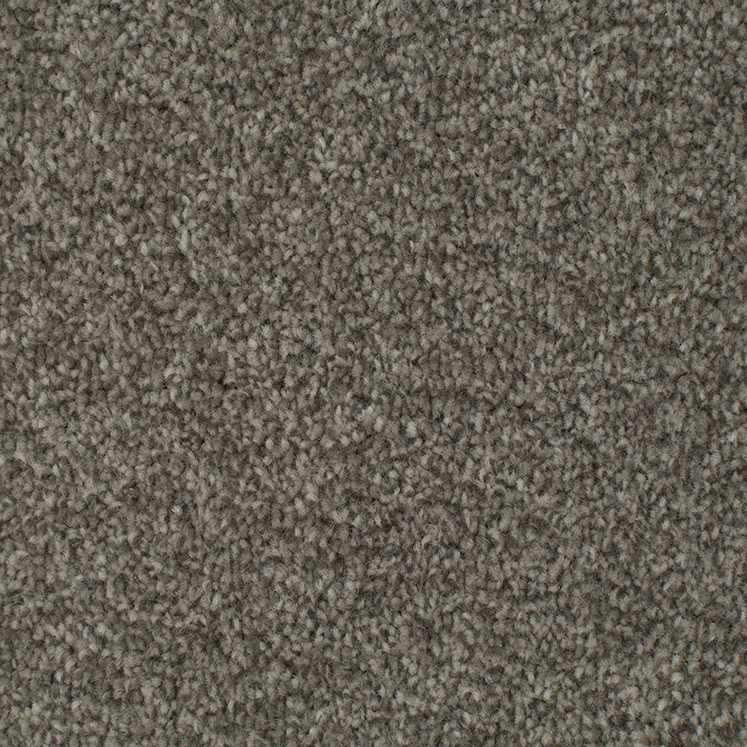 Tender Embrace Latte 4006 Carpet