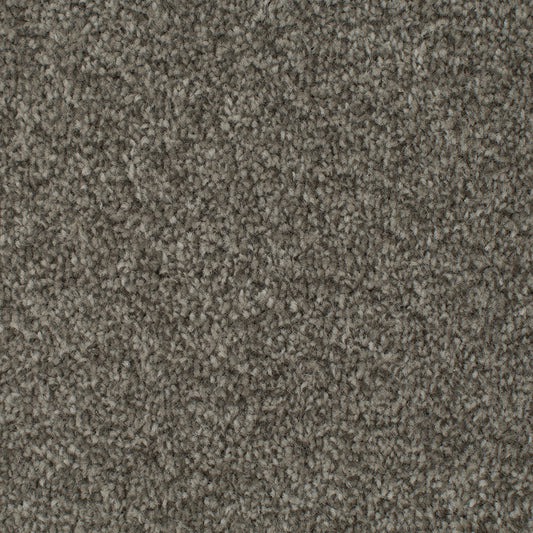 Tender Embrace Latte 4006 Carpet